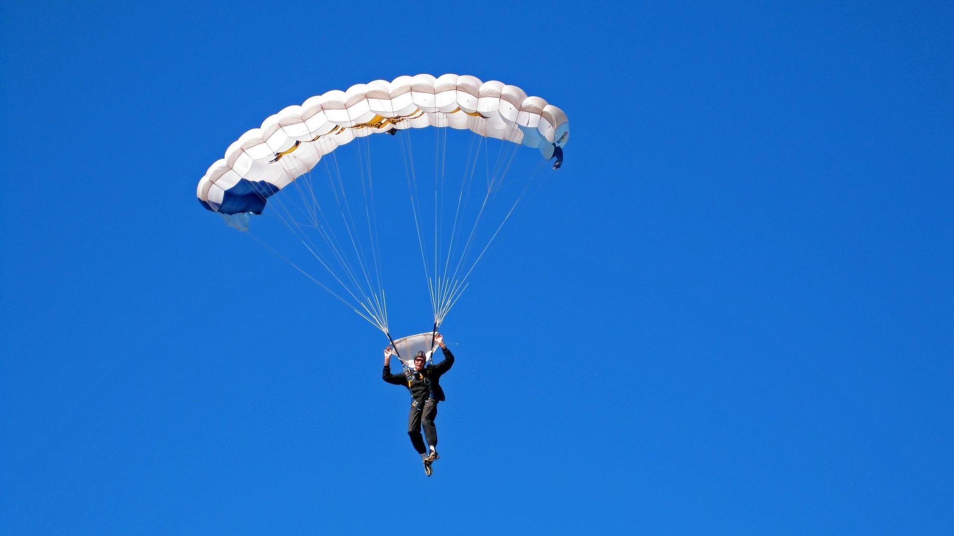 100 Thieves黑马之路持续，黑马 v11